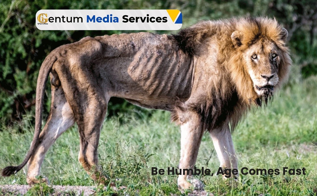 Why it pays to be more humble in life, Gentum Media Services