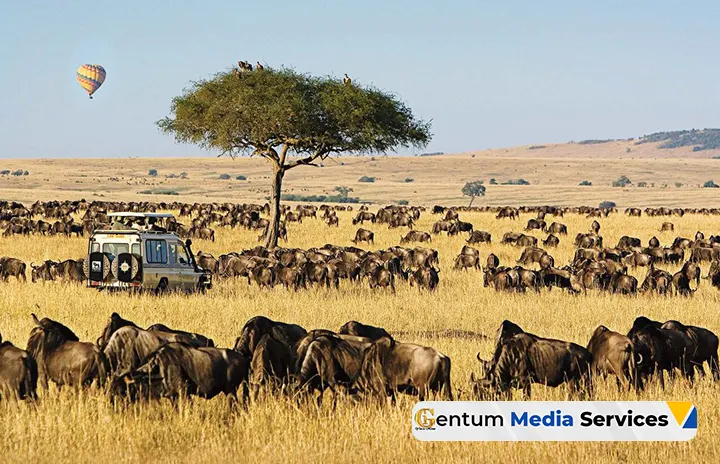 tourism in kenya, best places to visit in kenya, travel to kenya, Gentum Media Services, Masai Mara National Reserve
