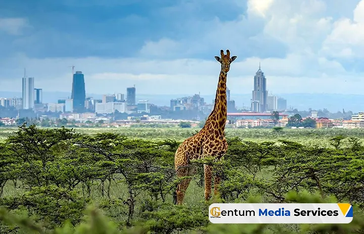tourism in kenya, best places to visit in kenya, travel to kenya, Gentum Media Services, Nairobi National Park